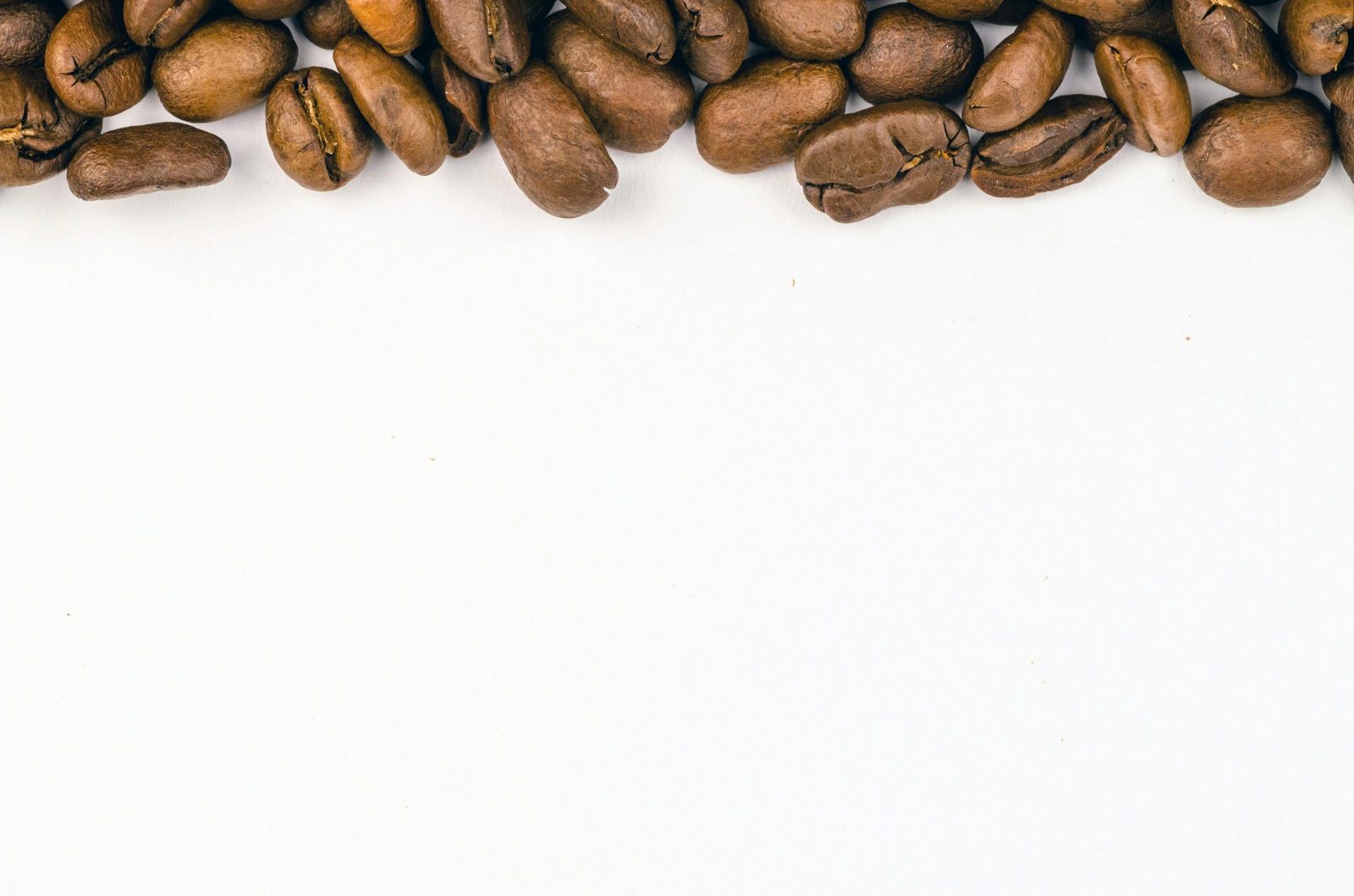 Sustainable Sourcing Talk: From Farm to Cup